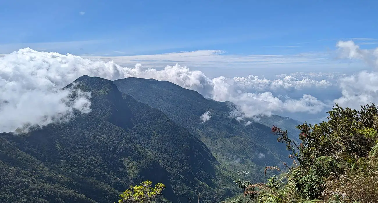 Horton-Plains-Nature-Reserve5-1300×700-1